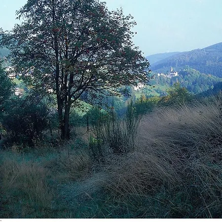 Schieferhof מלון שמאלנברג