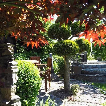 Schieferhof Hotell