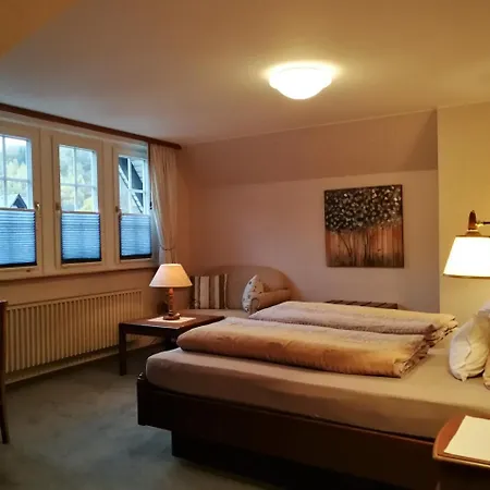 Schieferhof Hotel Schmallenberg