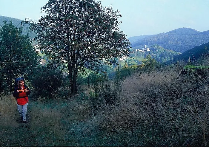 Schieferhof Szálloda Schmallenberg