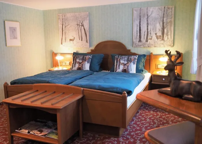 Schieferhof 3* Schmallenberg